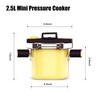 QINGHOU 2.6Quart Natural enamel double lid mini pressure cooker, One-handed