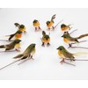 HAORONG 10PCS Robin Bird Christmas Tree Decoration Craft Very Cute