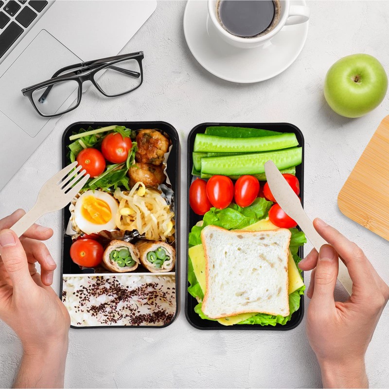 Chuboir Bento Lunch Box, 1200ml Japanese Style Lunchbox with Compartments