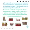 Den Med Modelo Dental Gingivitis