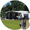 ProPlus Awning Clips Pack of 3