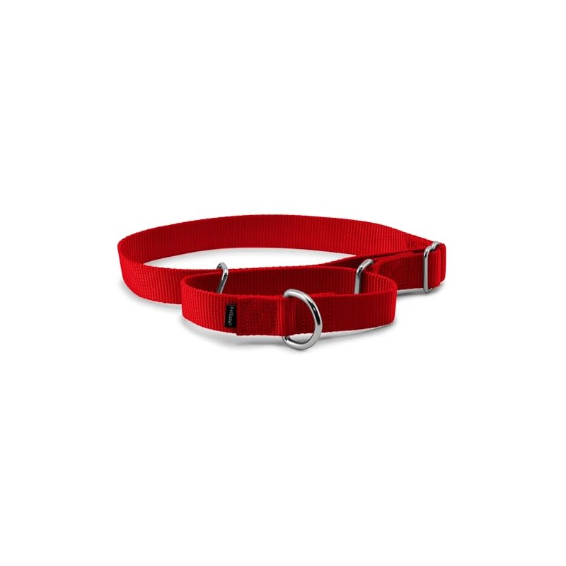PetSafe Martingale Collar 1 Large, Red