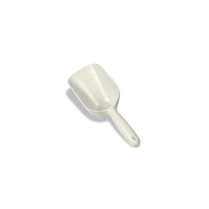 Food Scoop