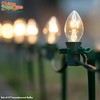 Holiday Bright Lights C7 Clear Transparent Incandescent Replacement Bulbs, String