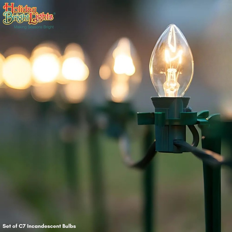 Holiday Bright Lights C7 Clear Transparent Incandescent Replacement Bulbs, String