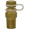 Winters STP Series STP001 Brass Test Plug, 1/4" NPT Male