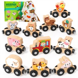Montessori Toys for Toddlers, 11PCS Wooden Train Set, Toddler Toys for Preschool Learning Activities for Kids, Birthday Gift for Boys and Girls