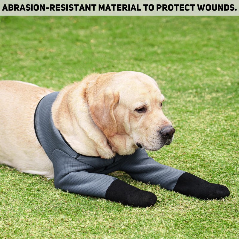 yrenoer Dog Socks & Boots - Waterproof Anti-Licking Paw Protectors