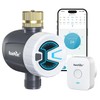 RAINPOINT Smart WiFi Water Timer for Efficient Irrigation