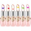 FirstFly - Juego de 6 lápices labiales nutritivos de larga