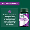 Nature's Own Mild Anxiety Ashwagandha 60 Tablets
