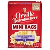 Orville Redenbacher’s Microwave Popcorn Mini Bags, Movie Theater Butter Flavor,