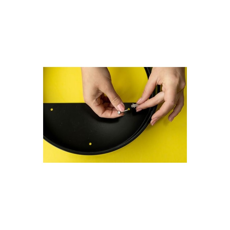 Holiday Kit - Wall Terrarium Kit