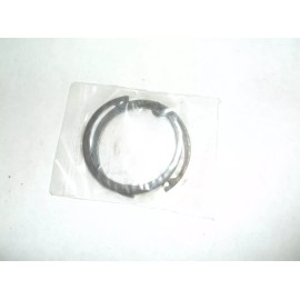 Dayton New PPO6ZN006G Internal Retaining Ring for Rotary Gear Pump 4KHF6 (E18J)