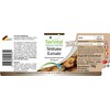 Fairvital Shiitake Extract 500 mg - High Dose - Lentinula