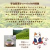 Iwamaen Tea Shop・Mitarashi-chan Uji Sencha Tea Bags for One Brew/Original