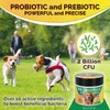 Probiotics for Dogs, 120 Chicken Flavor Dog Probiotic & Prebiotic