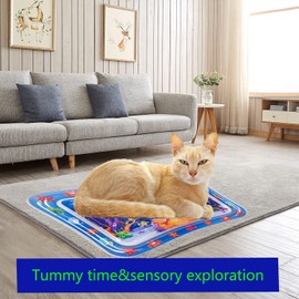 2 Packs Thickened Water Sensor Play Mat for Cats,Cat Water Sensor Play Mat Feel Cool and Comfort,Pet Play Water Sensor Mat for Kids,Cats and Dogs,This is a Funny Cat Water Play Mat (Dolphin Design)