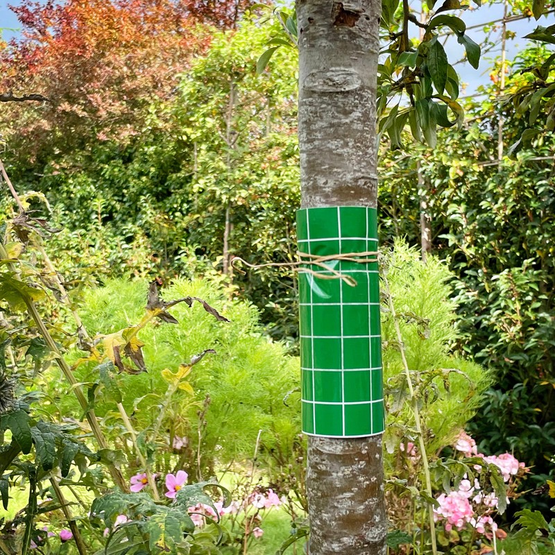 BugClear InsectGlue Barrier, 5 m