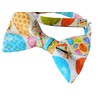 Holiday Bow Ties Mens Pre-tied Bow Tie Multi Bright Colored