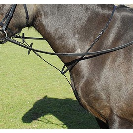Windsor Leather Standing Martingale in Black or Havana Pony, Havana