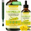 Mullein Drops For Lungs, Liposomal 14 In 1 Mullein Leaf