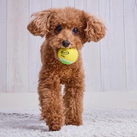 Petio Dog Toy PLAY Squeaker Tennis Ball, Small, Set of 2