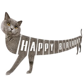 Cat Happy Birthday Banner Birthday Cat Garland Bunting Banner Birthday Sign Cat Birthday Decorations for Kids Adult Birthday Party Supplies Favors (Grey)