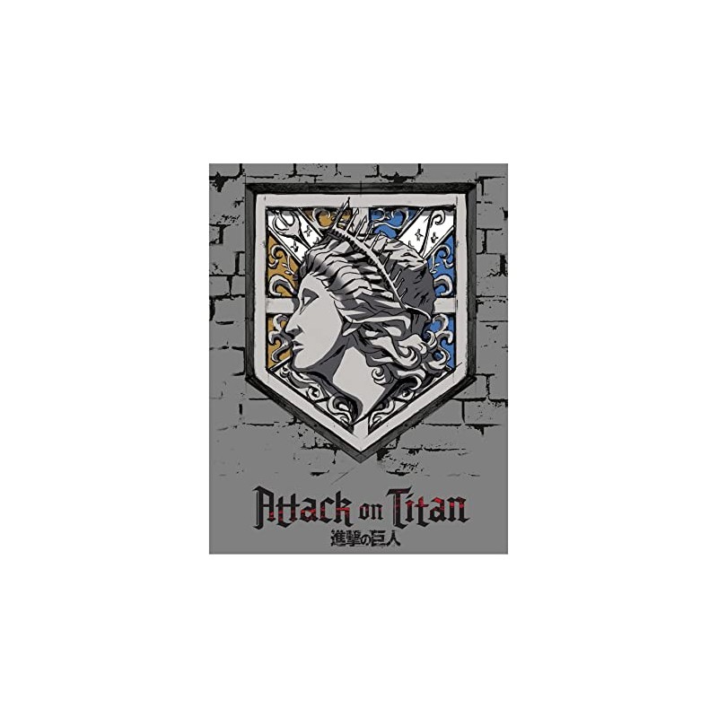 Attack on Titan Attack of the Giants Fleece Blanket -