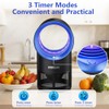 Fruit Fly Traps for Indoors, Fly Trap Indoor, Indoor Bug