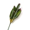 Factory Direct Craft Group of 2 Artificial Cactus Picks Fake
