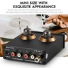 Vacuum Tube Phono Preamp, MM Turntable Preamplifier for Record Player/Home