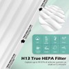 SAKEGDY 116130 Replacement Filter H fit for Winix 5500-2 Air