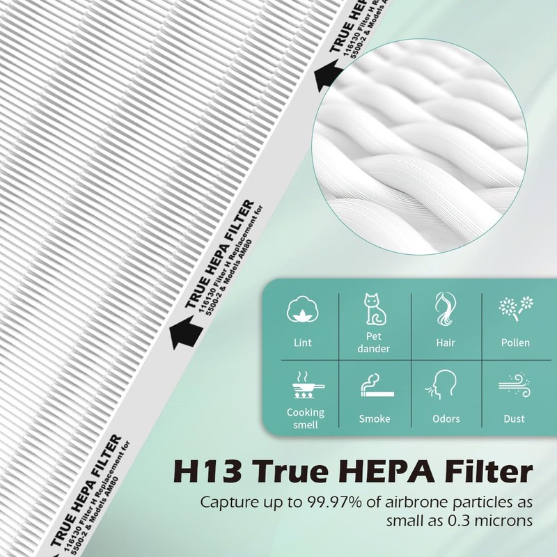 SAKEGDY 116130 Replacement Filter H fit for Winix 5500-2 Air