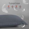LYMA Bedding Pillow Cases 2 Pack, Ultra Soft Breathable Oxford