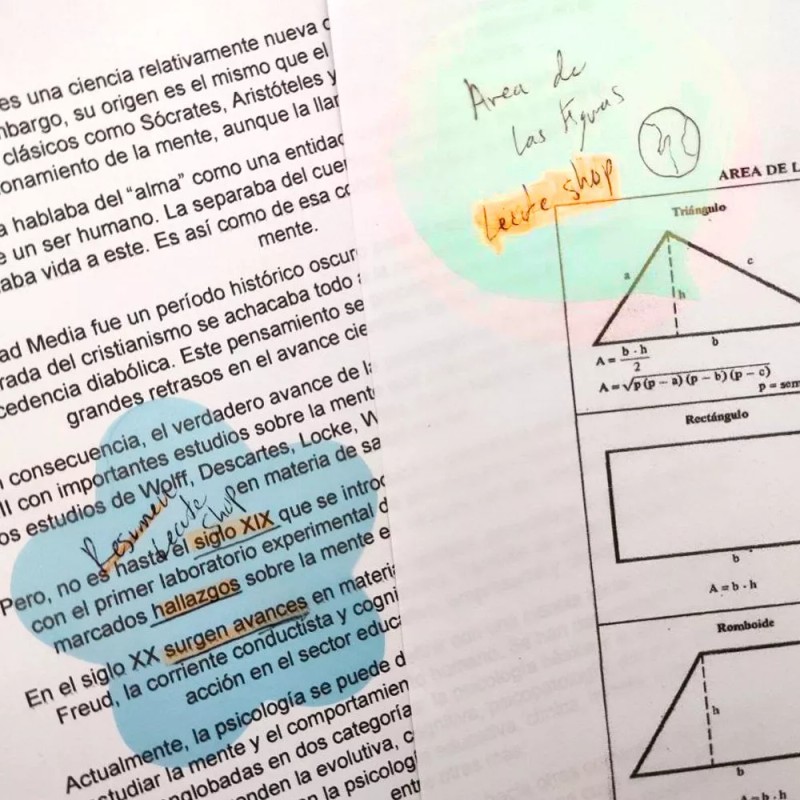 Post 600 Figuras Post It Transparentes Notas Adhesivas Kawaii