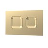 nuie XTY009PS8 Bathroom Accessories Modern Dual Flush Plate with Square