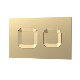 nuie XTY009PS8 Bathroom Accessories Modern Dual Flush Plate with Square Buttons, 267 x 170 x 11mm, Brushed Brass