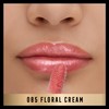 Max Factor 2000 Calorie Lip Glaze, Coloured High Gloss Lip