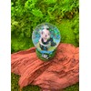 Onwomania Panda Bear Cute Height 6.5 cm Snow Globe Glitter