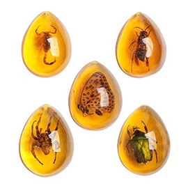 Acxico 5pcs Amber Fossil with Insects Samples Stones Crystal Specimens Home Decorations Collection Oval Pendant (Green Armor + Scorpion + Flower Butterfly + Wasp + Spider)