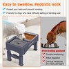 Decflow Decflow 3-in-1 Elevated Dog Bowls, 4 Height Adjustable Raised