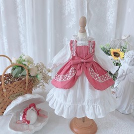 HAMRETHYPPZ 1/4 1/6 1/3 BJD Ball Joint Doll Dress Doll Costume Doll Maid Clothes Ball Joint Doll Dress Princess Dress Pink Princess Skirt Cute Maid Skirt Cute Lolly Skirt Holiday Dress Skirt (Head,