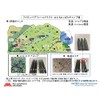 Stron Pegs MCCA-SP300-8 (CFRTP) Lightweight Camping Pegs, 11.8 inches (300