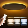 Matane 15.4in LED Flush Mount Ceiling Light Fixture with Remote,