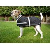 Petface Super Soft Waterproof Dog Coat, 45 cm, Black