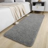 AROGAN 24x60 Inch Long Bathroom Runner Rug, Luxury Thick Soft