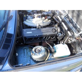 Vertical Bulb Trim Seal Bulb Diameter: 0.5" Grip Range: 0.039" to 0.14" | Trunk, Boot, lid, Hood, Hatch Rubber (160 Feet)