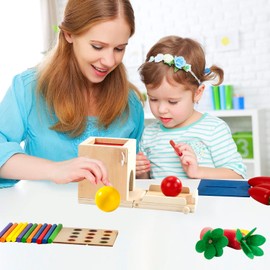 Montessori Motor Skills Toy Wooden Toy for Toddlers from 1 2 3 Years, Sorting and Stacking Toy 4 in 1 Sorting Game Sensory Learning Toy Gift