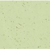 Nellic Daily Soft Green Tea Oil-Absorbing Sheets, 100 Sheets per